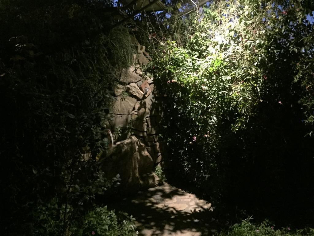 Villa Li Schisani Sorrento Bagian luar foto